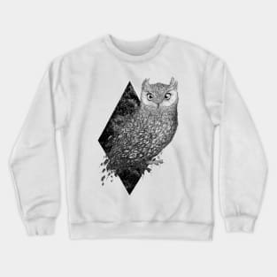 Cosmic Owl Crewneck Sweatshirt